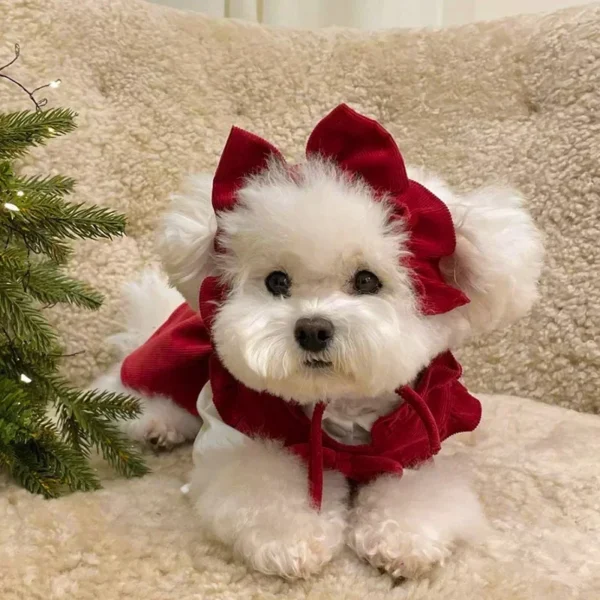 Puppy Bow Knot Dress Set Winter Warm Dog Clothes Pet Christmas 4