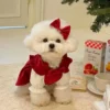 Puppy Bow Knot Dress Set Winter Warm Dog Clothes Pet Christmas 1