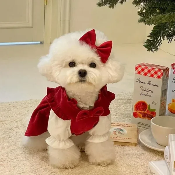 Puppy Bow Knot Dress Set Winter Warm Dog Clothes Pet Christmas 1