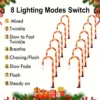 solar powered garden cane lights, 8-function waterproof 3