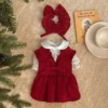 Puppy Bow Knot Dress Set Winter Warm Dog Clothes Pet Christmas 6