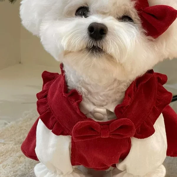 Puppy Bow Knot Dress Set Winter Warm Dog Clothes Pet Christmas 3