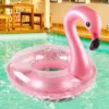 Inflatable Flamingo Pool Float - Fun Beach Floaties 4
