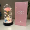 Rose Luminous Flower plastic Cover Gift 2