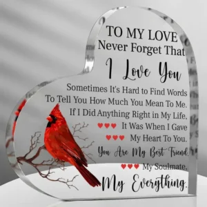 Romantic boyfriend gift for her, girlfriend love cute gift, creative anniversary, Valentine's Day, birthday, girlfriend gift 1