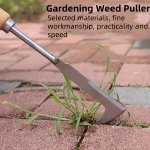 Stainless steel gap weeding tool, L-shaped multi-purpose garden hand tool 1